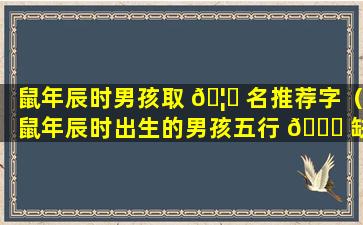 鼠年辰时男孩取 🦁 名推荐字（鼠年辰时出生的男孩五行 🐎 缺什么）